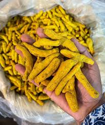 Turmeric Finger